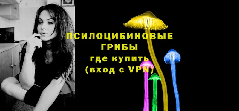 Псилоцибиновые грибы мицелий  Невинномысск 